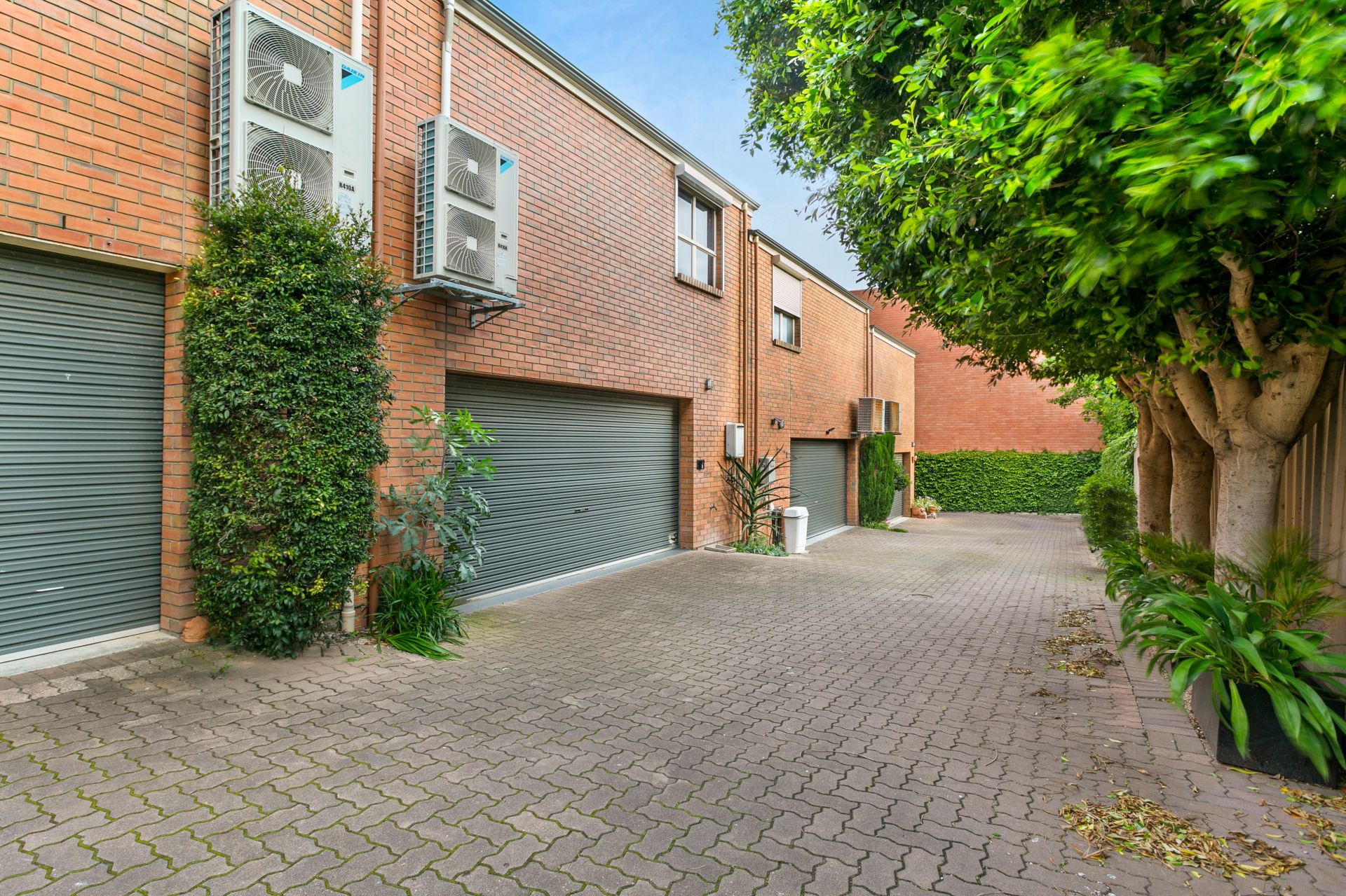 29 Bagot Street, North Adelaide Williams Real Estate