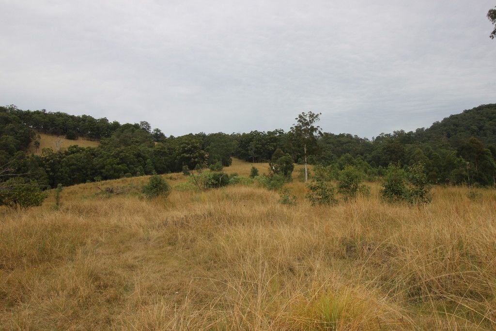 1176 Bellangry Rd, BELLANGRY NSW 2446