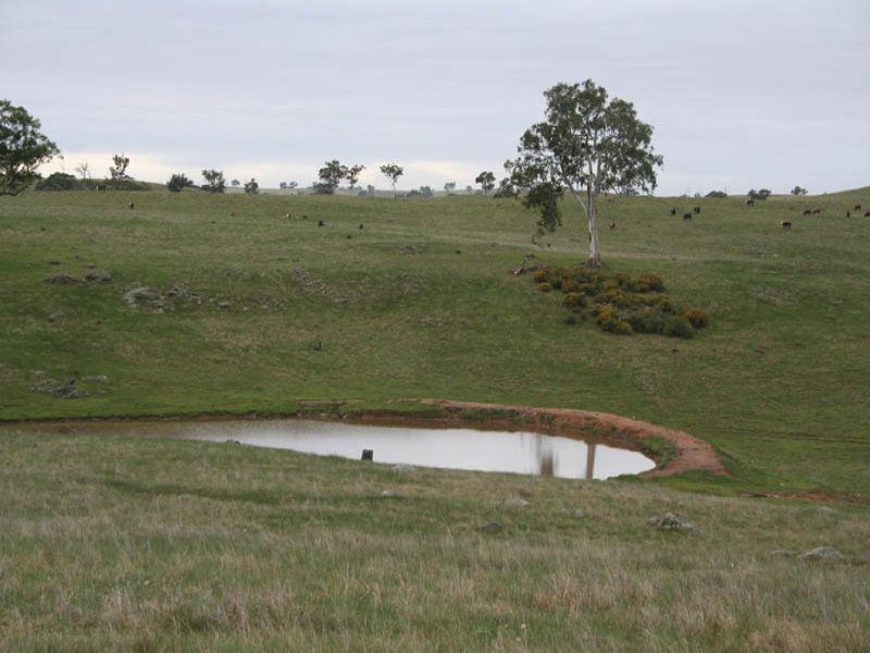 Lot 30 Mount Torrens Road Tungkillo 5236