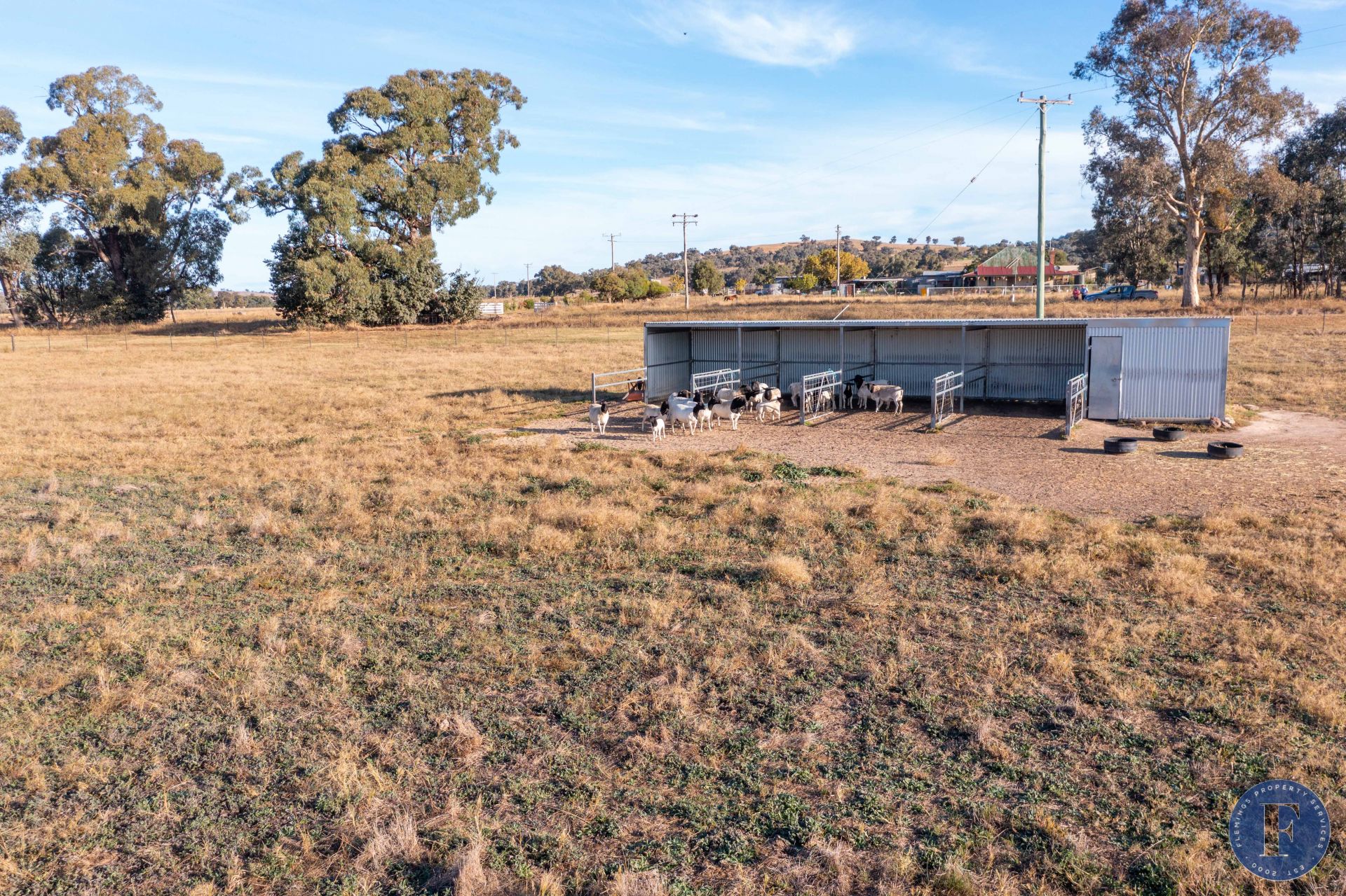 405 Back Brawlin Road, Cootamundra NSW, Cootamundra - Thumbnail 3