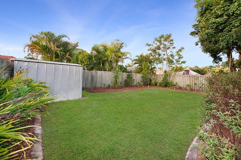 3 Pimelea Court Mountain Creek QLD, Mountain Creek - Thumbnail 4