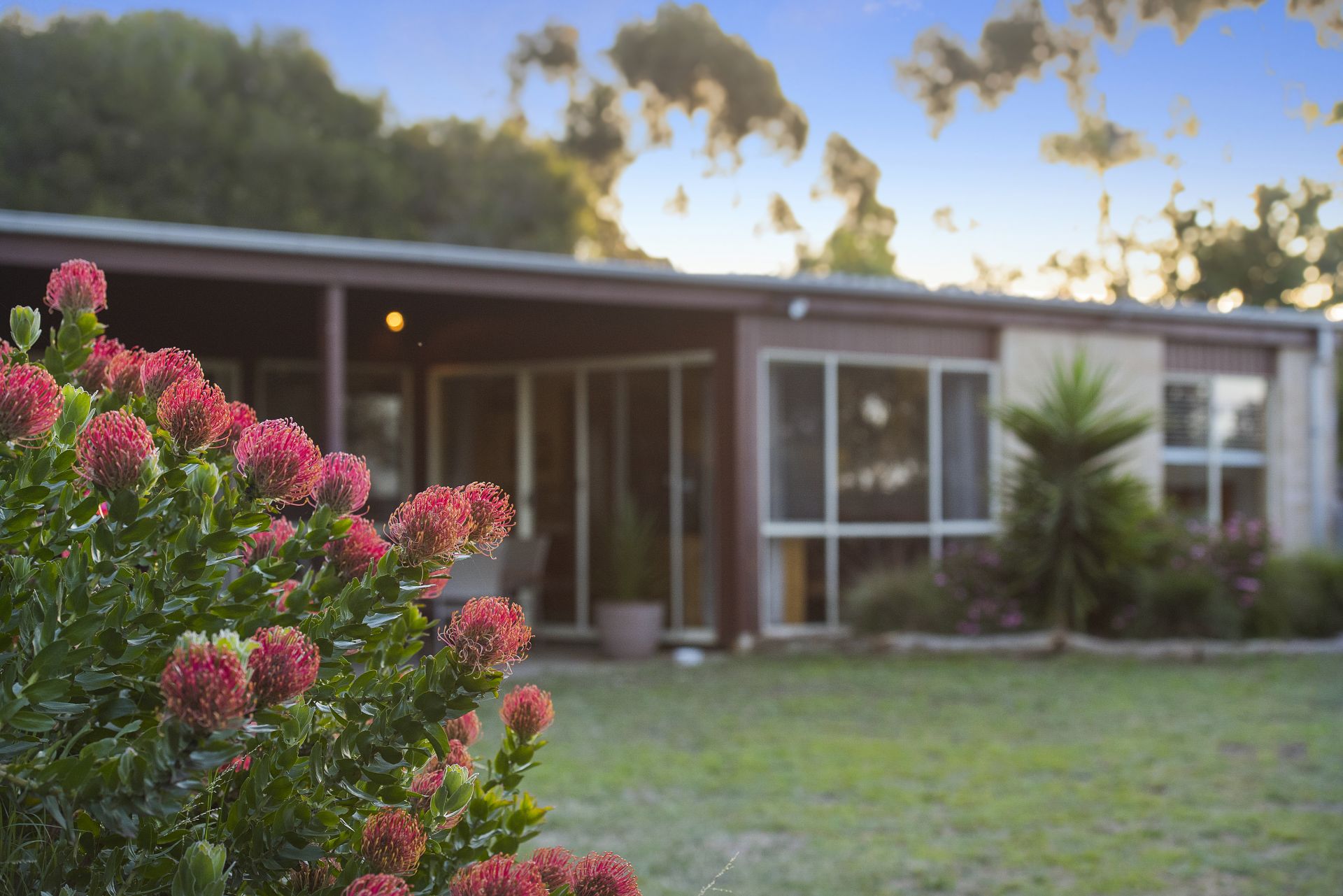 17-19 Buccleugh Street Drysdale VIC, Drysdale - Thumbnail 5