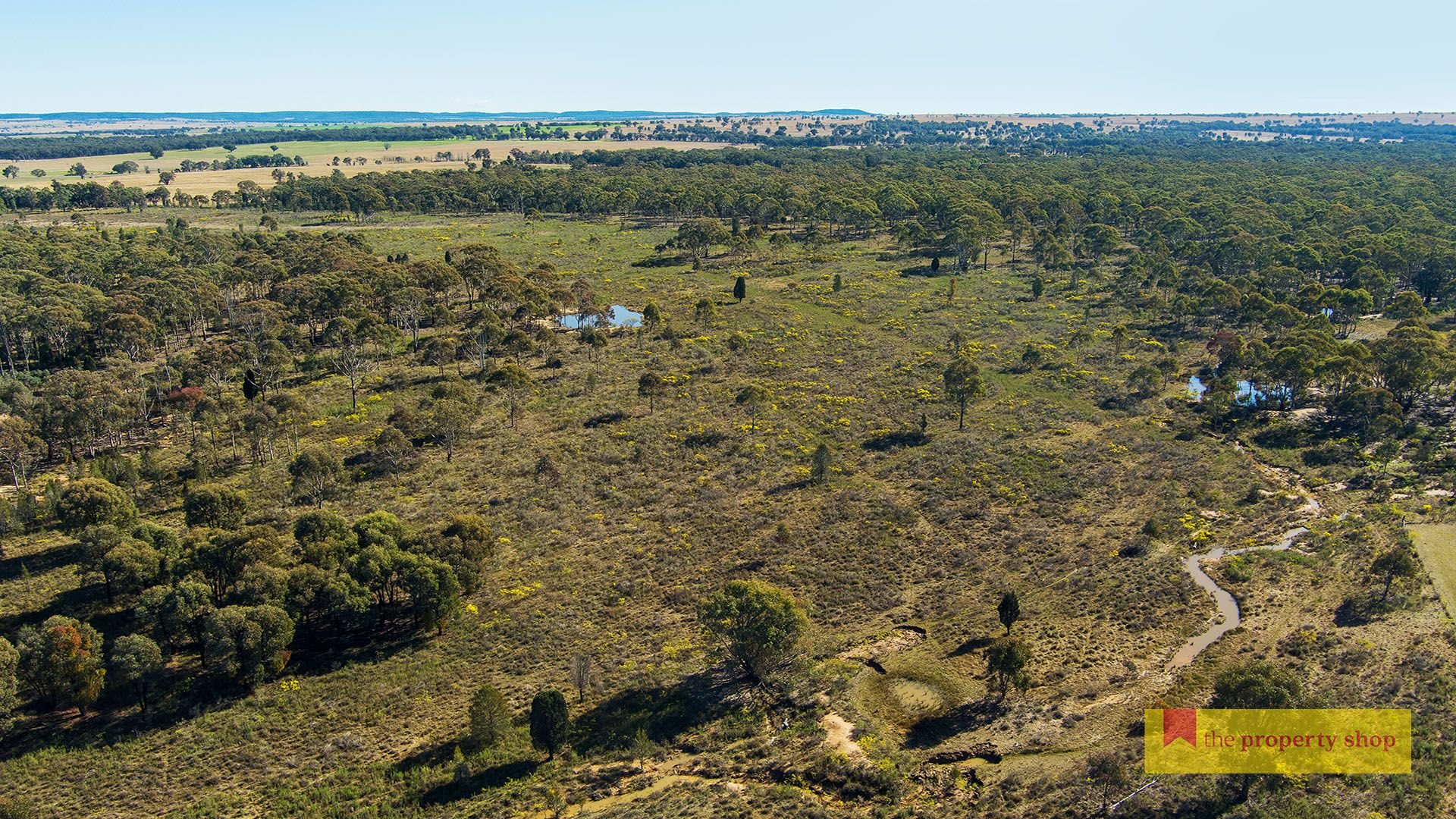 264 Carramar Road, Gulgong The Property Shop