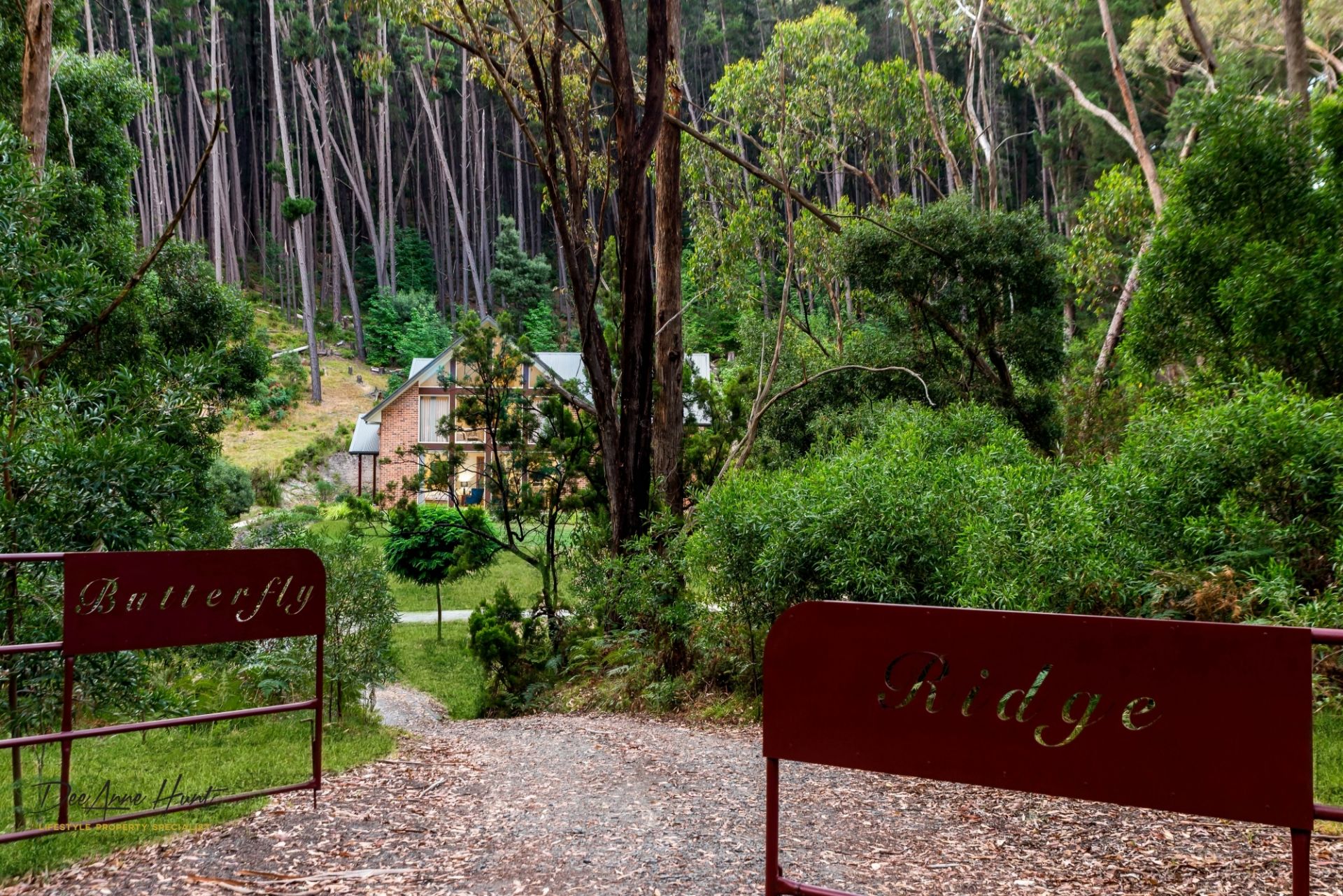 92 Mount Road, Mount Williams Real Estate