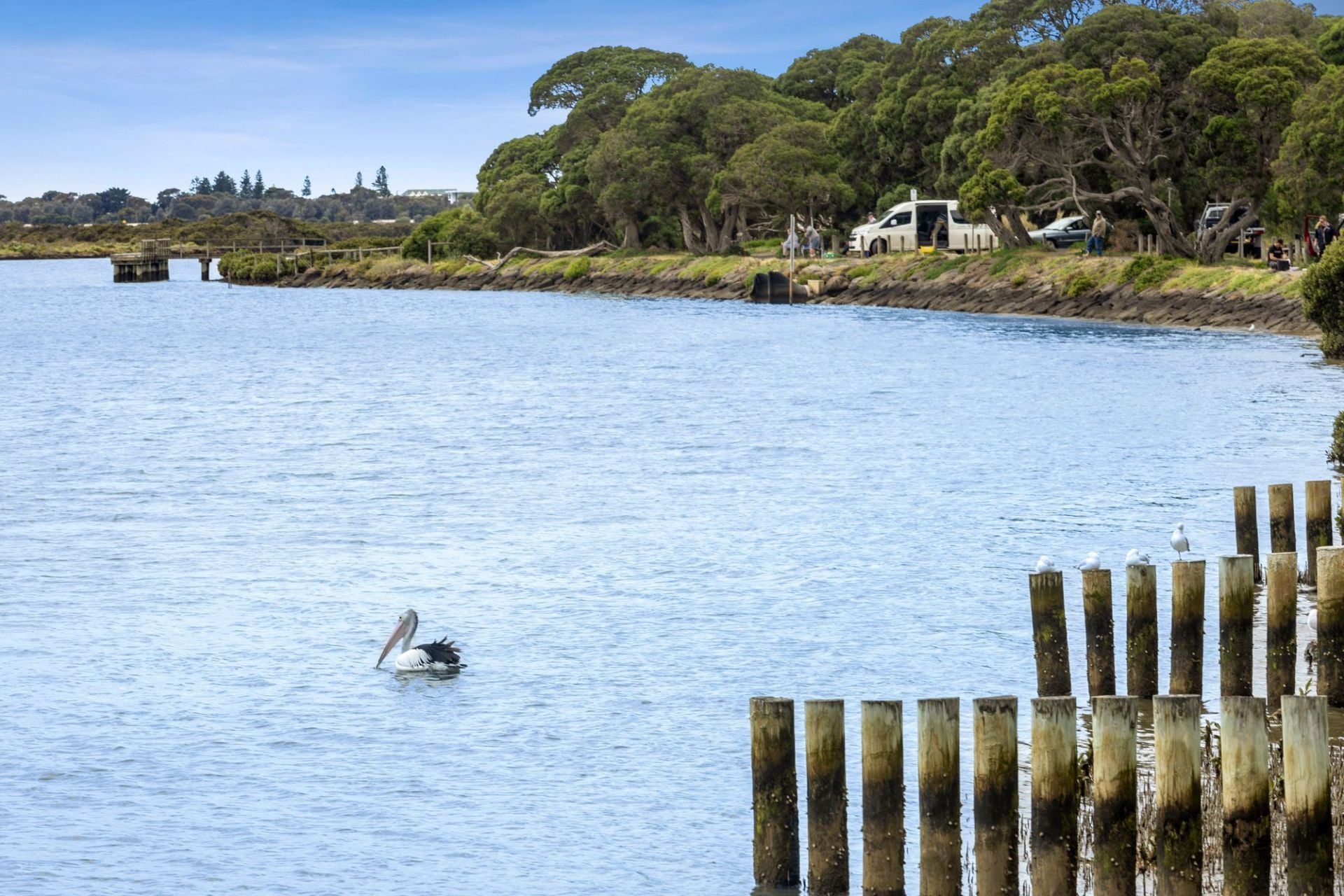 44 Newbay Close Barwon Heads VIC, Barwon Heads - Thumbnail 4