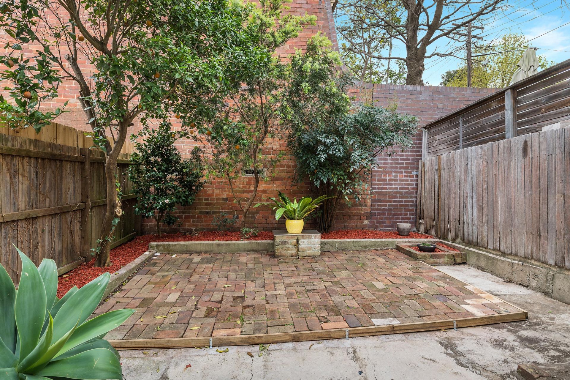 Sold - Great Looks, Character and Lifestyle