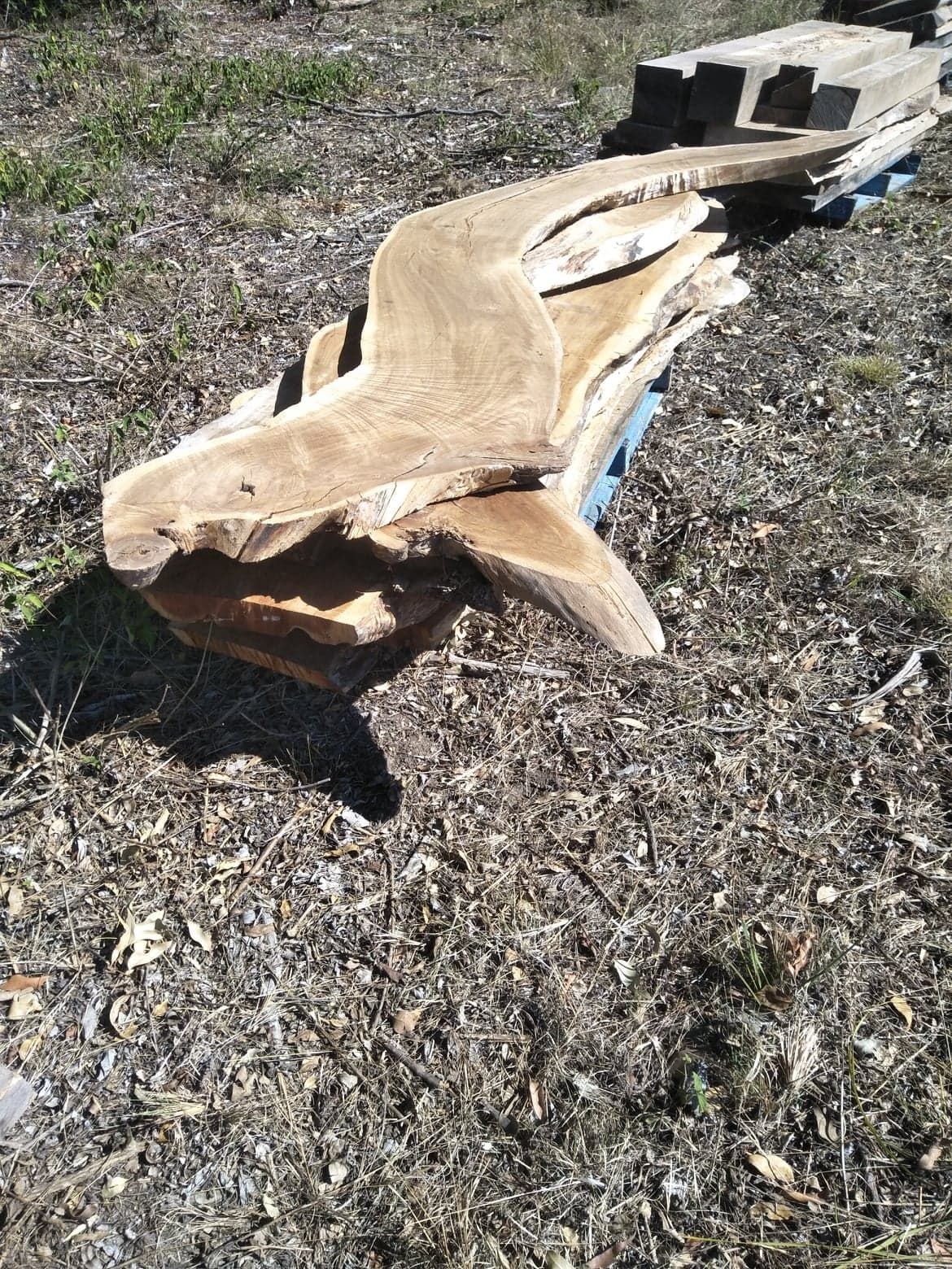 - Clearing Sale @ 240 Brookhouse Rd, PEMBROOKE NSW 2446