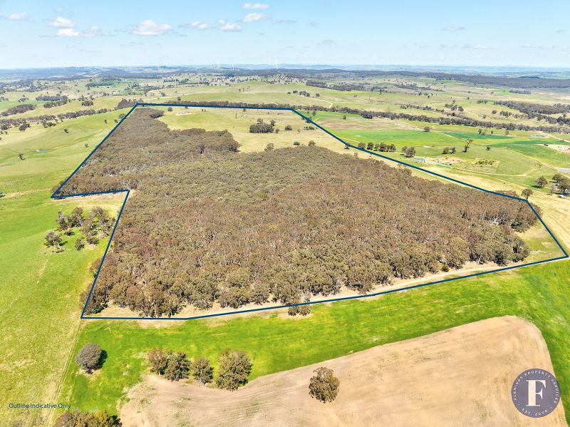 2617 Rugby Road, Rugby NSW, Rugby - Thumbnail 5