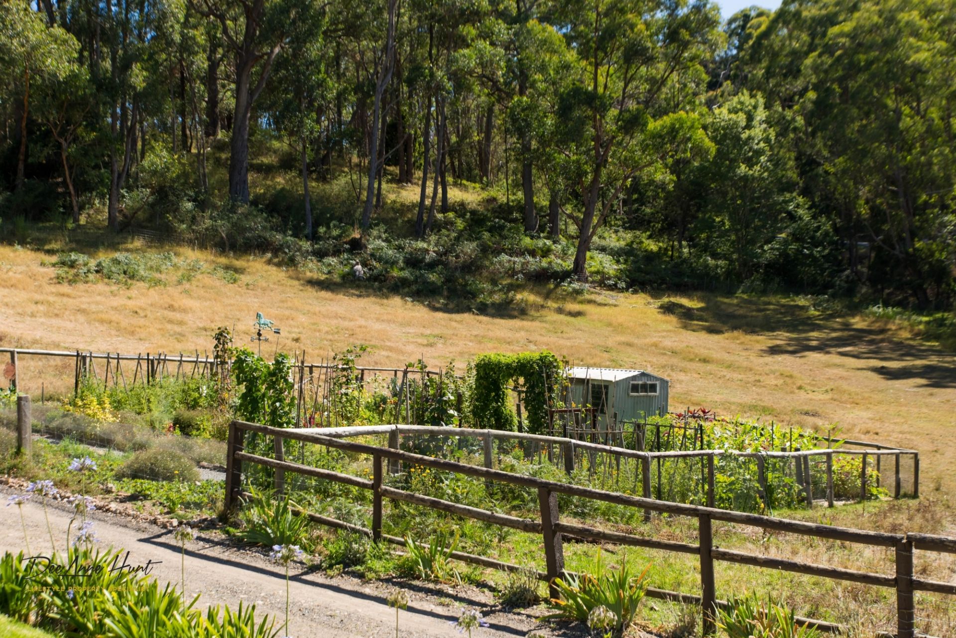 25 Ostigh Road, Carey Gully Williams Real Estate