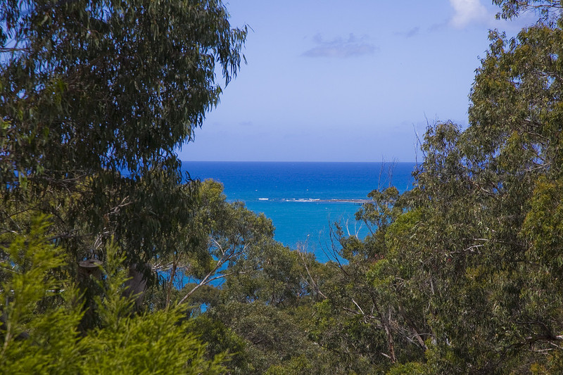 69 Deans Marsh Road, Lorne, VIC, Lorne - Thumbnail 4
