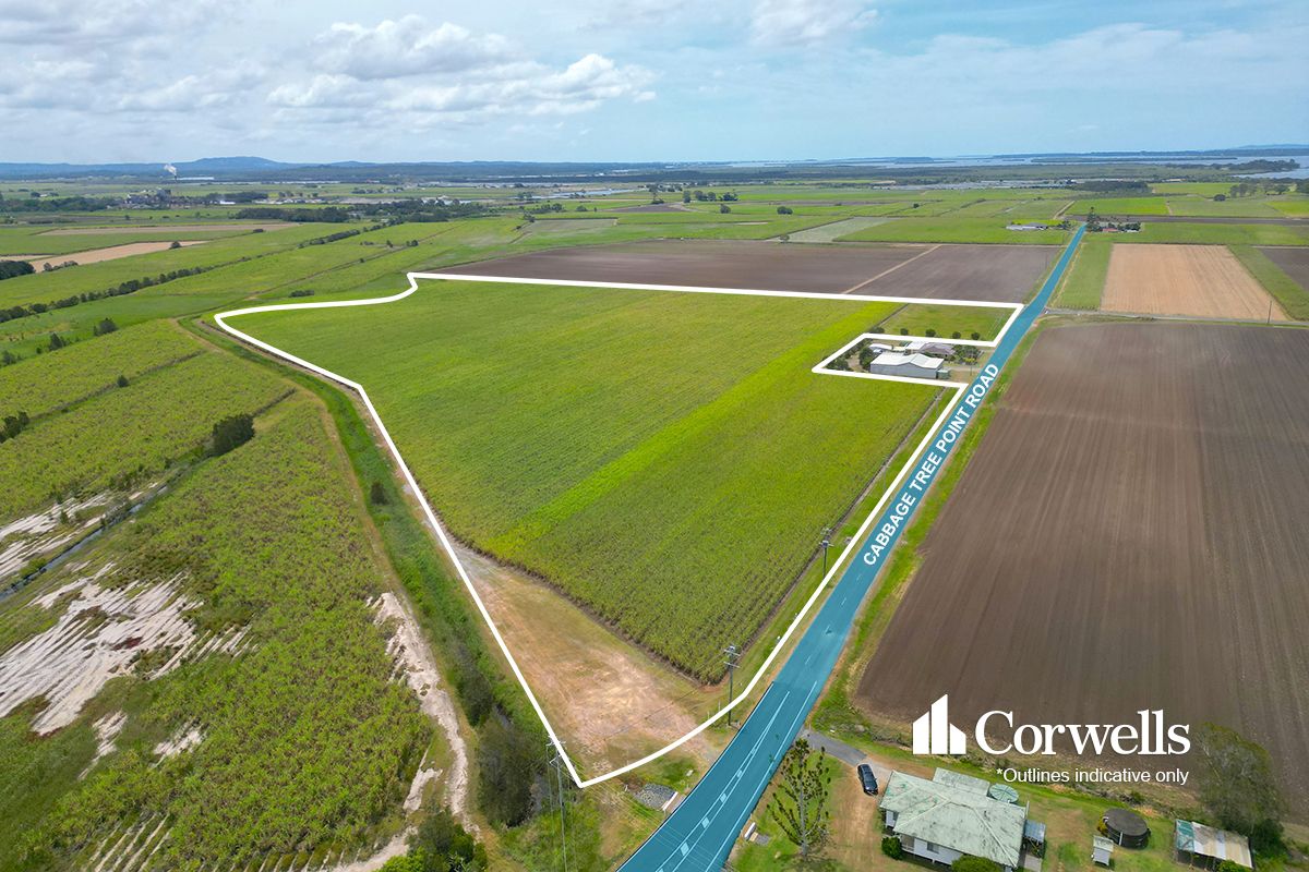 Real Estate For Commercial Sale 119 Cabbage Tree Point Road