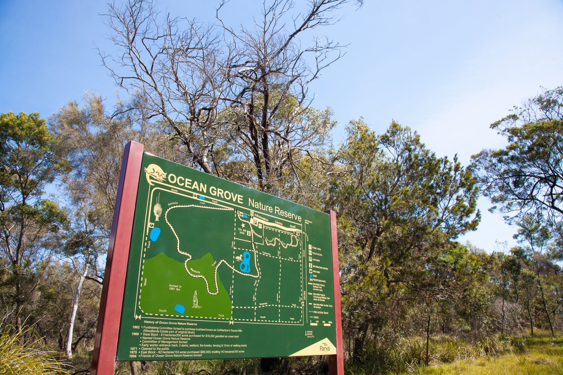 17 Alcandre St Ocean Grove VIC, Ocean Grove - Thumbnail 4