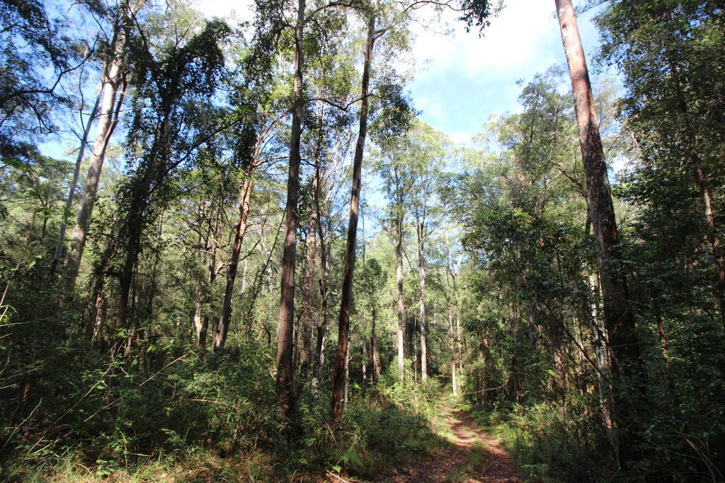 , TELEGRAPH POINT NSW 2441