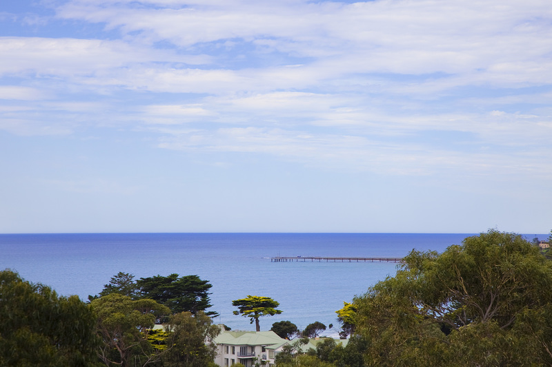 7 Waverley Avenue, Lorne, VIC, Lorne - Thumbnail 8