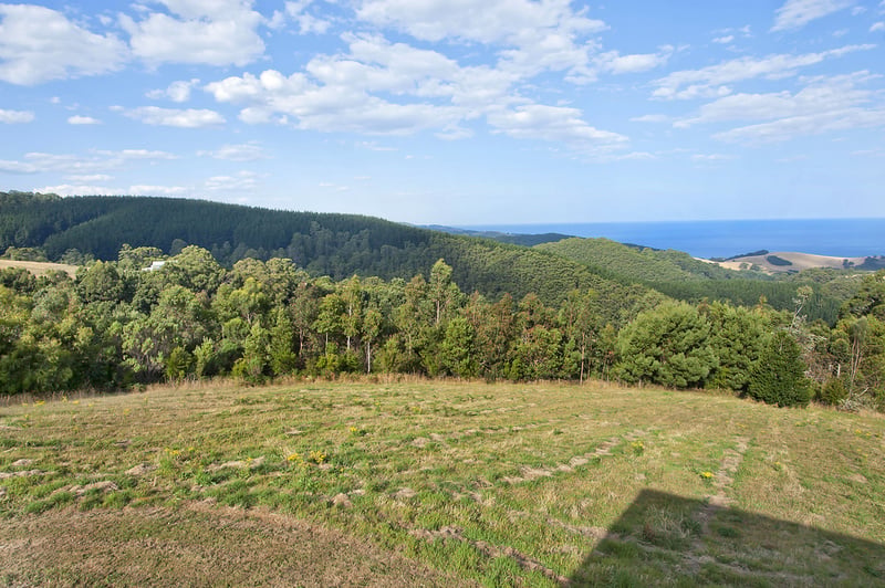 115 Morris Access, Apollo Bay, VIC, Apollo Bay - Thumbnail 2