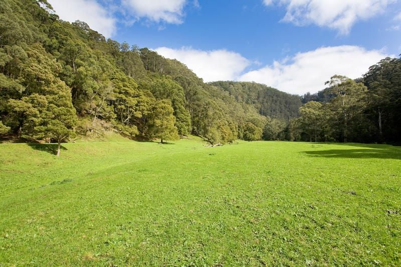 2805 Great Ocean Road, Glenaire - Thumbnail 4