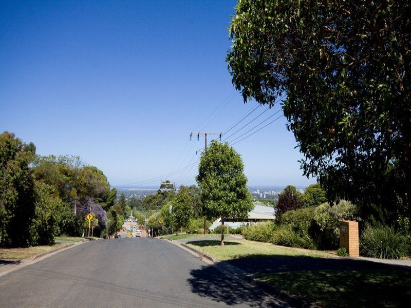 61 Dashwood Beaumont 5066