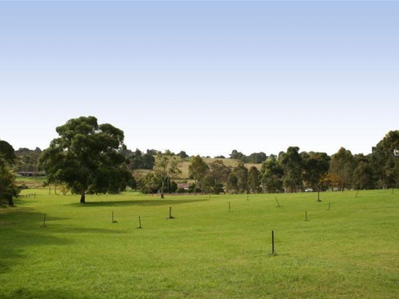 15 Mason Road, Box Hill - Thumbnail 2