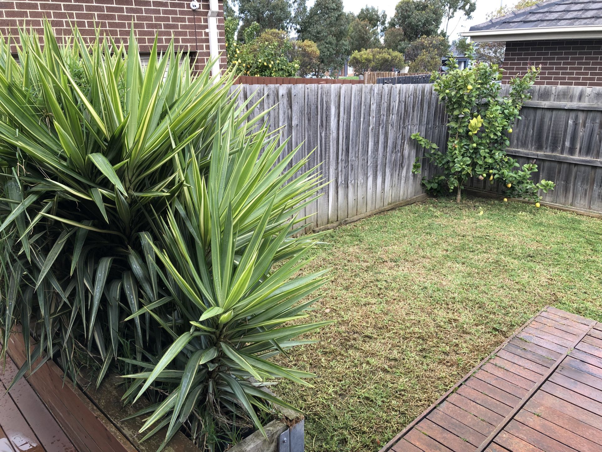 IDYLLIC FAMILY HOME WITH LOCATION TO MATCH   **UNDER APPLICATION**