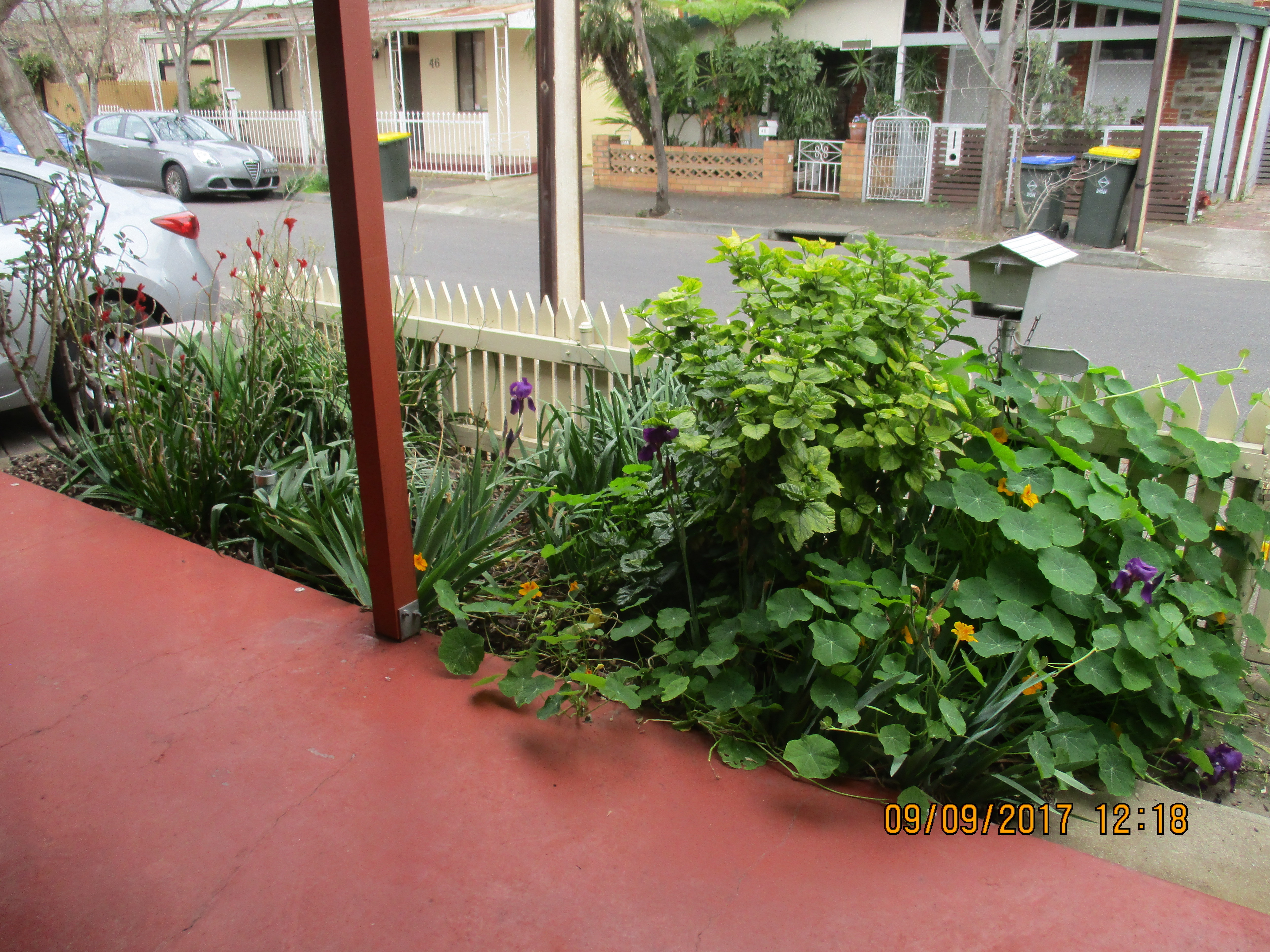 77 Coglin Street Brompton 5007
