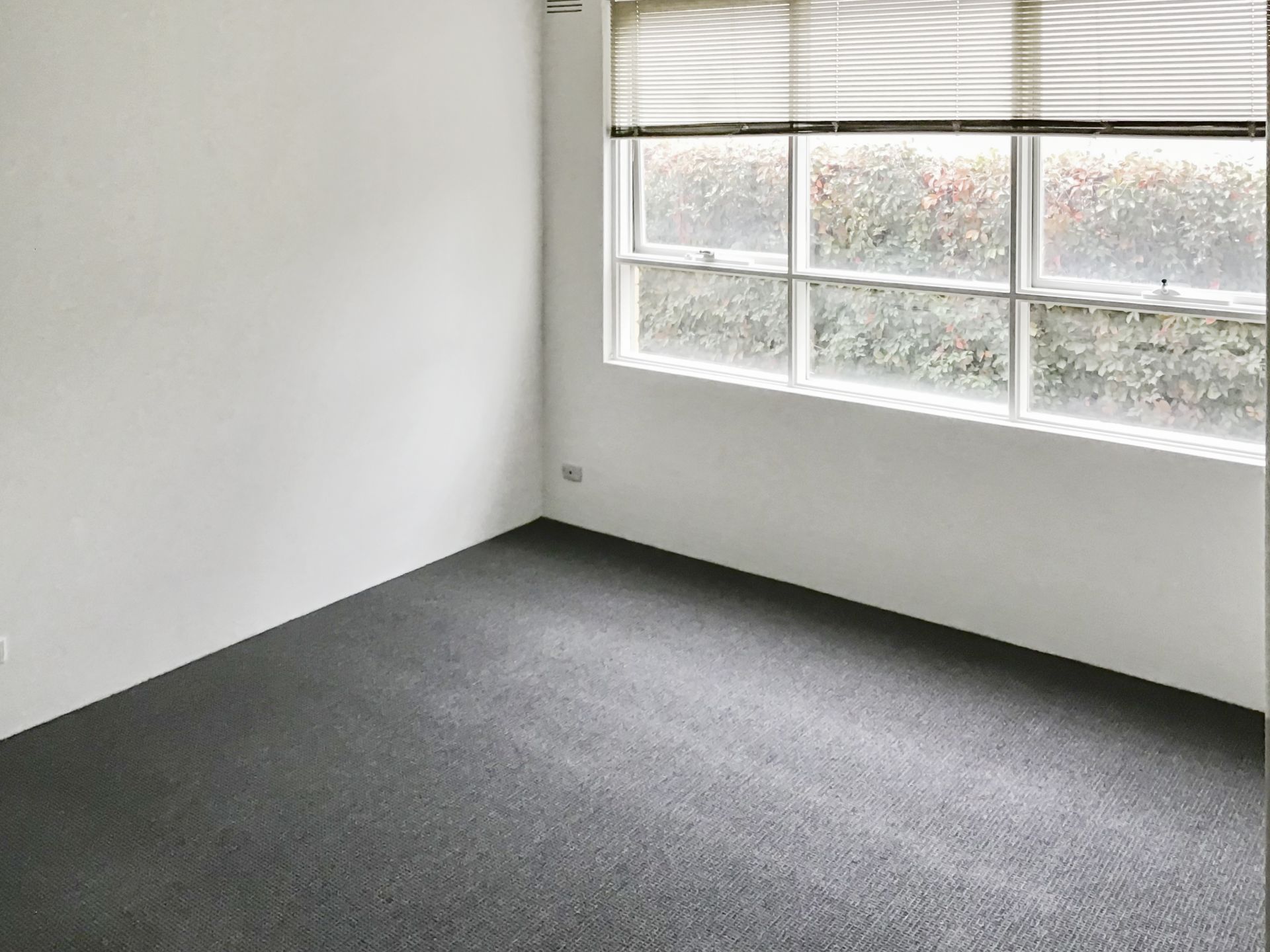 Neat And Tidy One Bedroom Apartment
