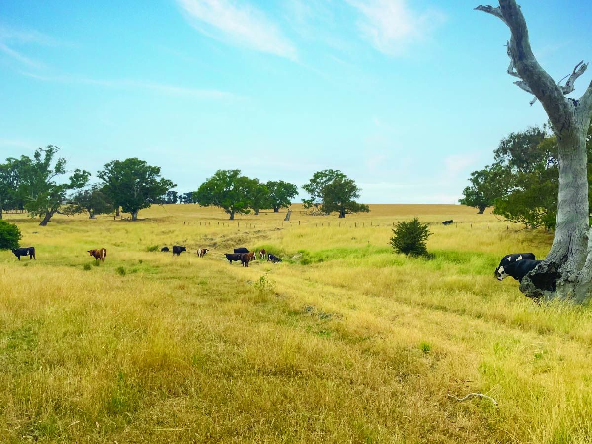 121Ha* Picturesque Farm - minutes from Mernda