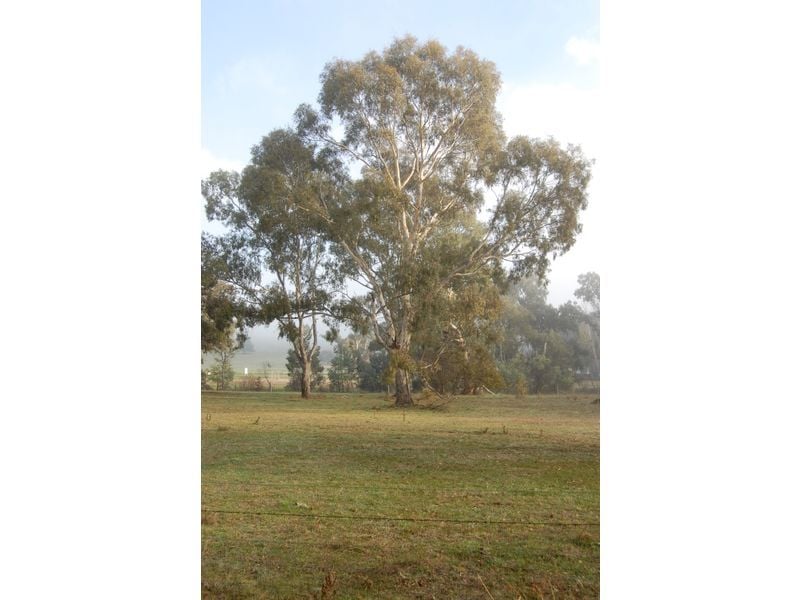 Parcel 3 Maroondah Highway, Merton VIC 3715