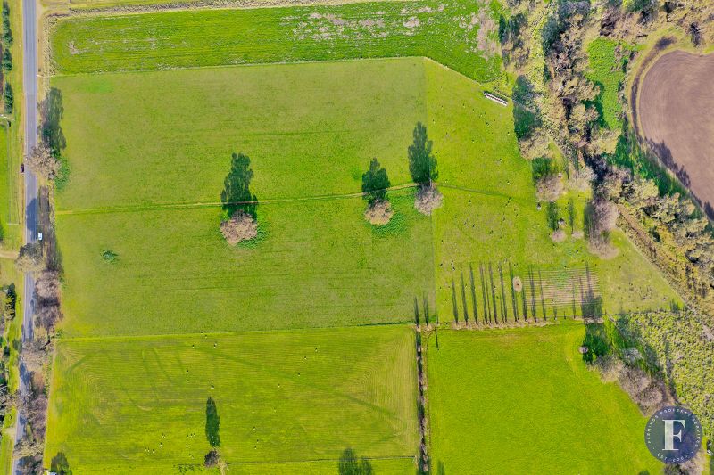 1593 Muttama Road, Muttama NSW, Muttama - Thumbnail 5