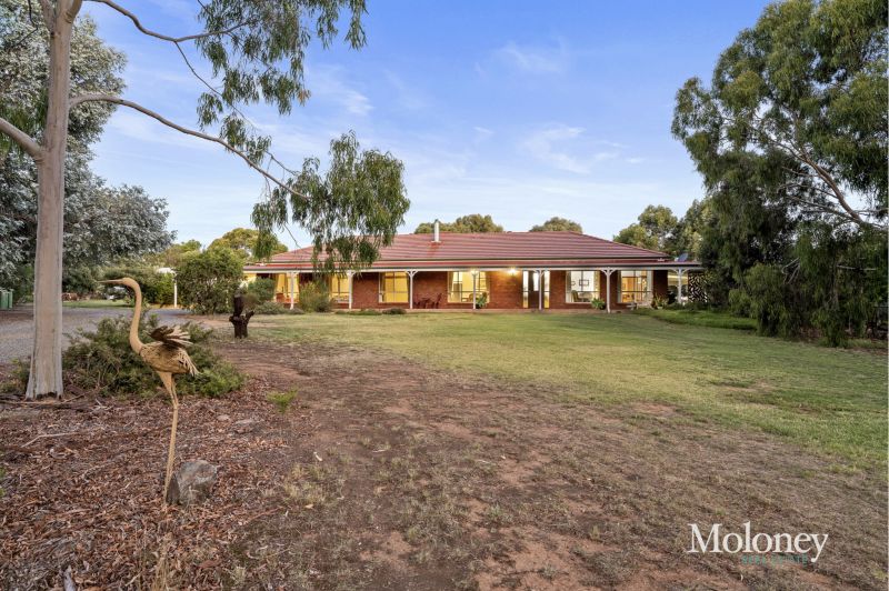 A quiet Rutherglen retreat