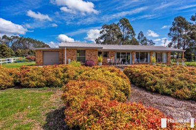 20 Lawrence Avenue, Acacia Hills, Acacia Hills - Thumbnail 3
