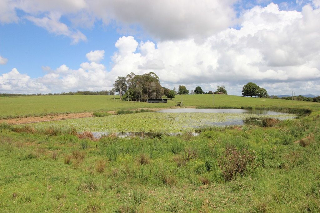 , WAUCHOPE NSW 2446
