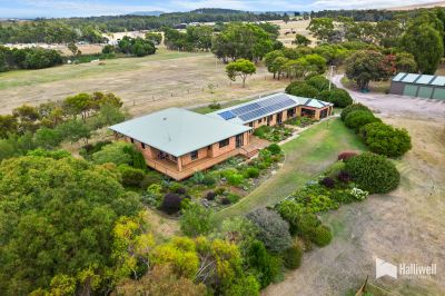 4
 
 
 
  
 
 
 4
 
 
 
  
 
 
 8
 
 
 
 
 
 
 
 53 Annies Lane, Northdown TAS 7307, Northdown - Thumbnail 2