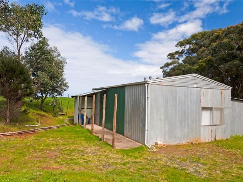 160 Red Johanna Road JOHANNA VIC, Johanna - Thumbnail 4