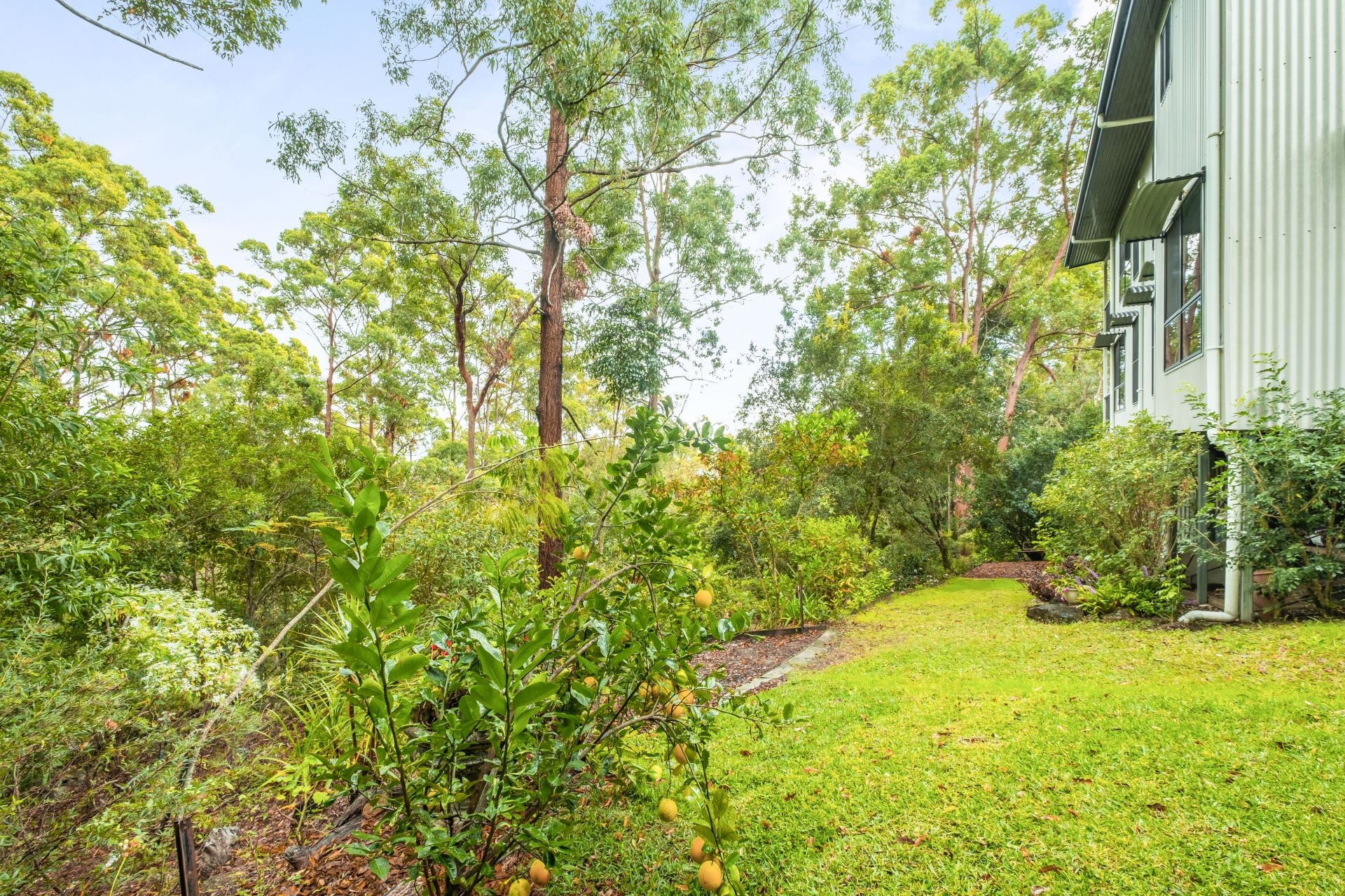 14 Compass Court Buderim QLD, Buderim - Thumbnail 6