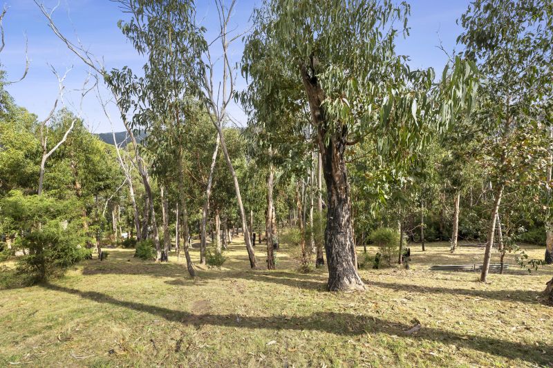 3/20 Dollar Drive, Separation Creek, VIC, Separation Creek - Thumbnail 3