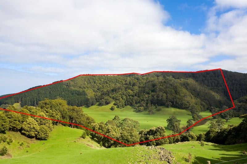 2805 Great Ocean Road, Glenaire - Thumbnail 2