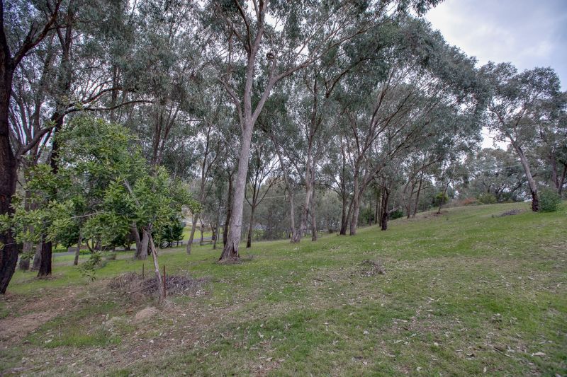 105 McLeod Court West Albury NSW, West Albury - Thumbnail 8