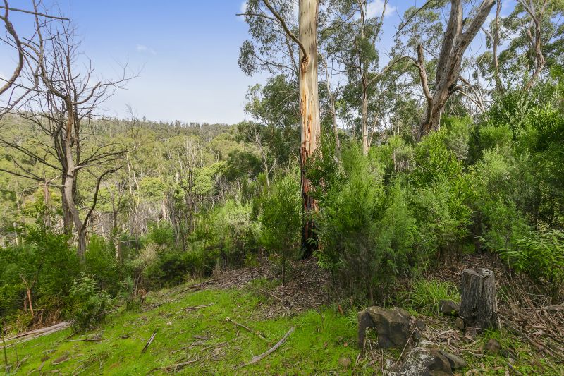 35 Riverside Drive, Wye River, VIC, Wye River - Thumbnail 2