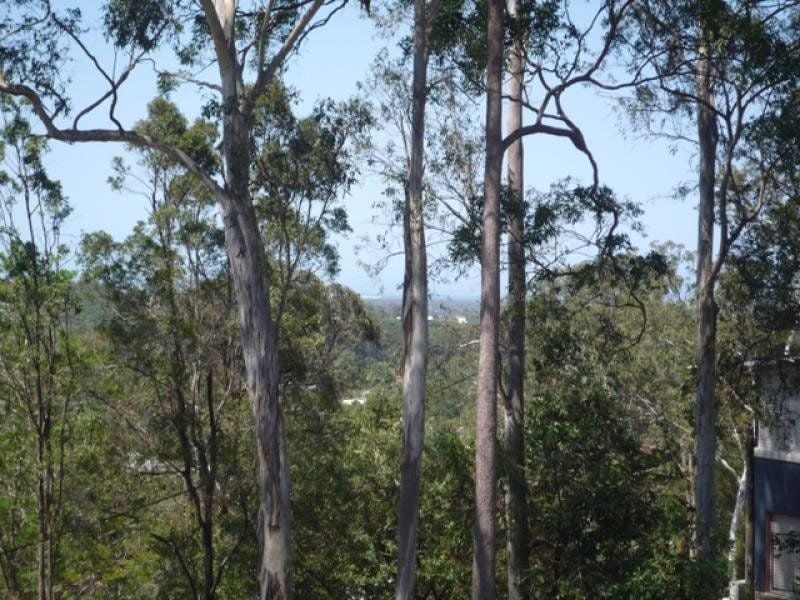 4A Kerenjon Avenue Buderim QLD, Buderim - Thumbnail 3