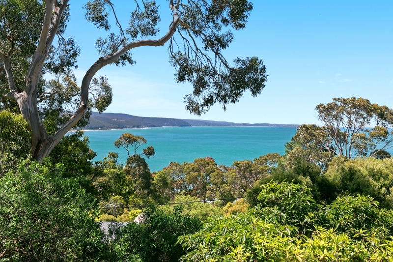 52 Charles Street, Lorne, VIC, Lorne - Thumbnail 2
