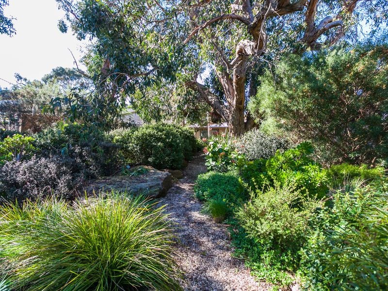 10 Lubel Street, Anglesea - Thumbnail 2