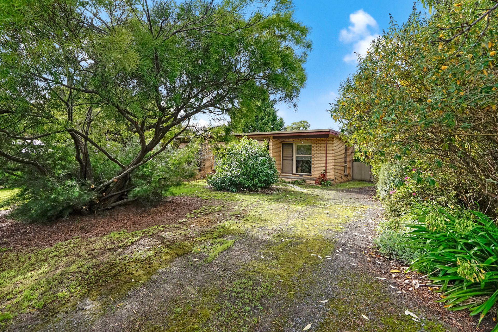 5 Pines Lane, Beaufort, Beaufort - Thumbnail 5