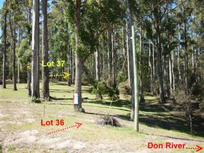 35 Penzance Place, ACACIA HILLS, Acacia Hills - Thumbnail 3