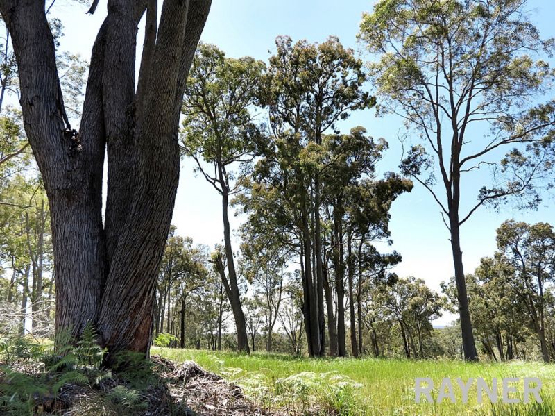 1 Oro Road Dwellingup WA, Dwellingup - Thumbnail 4