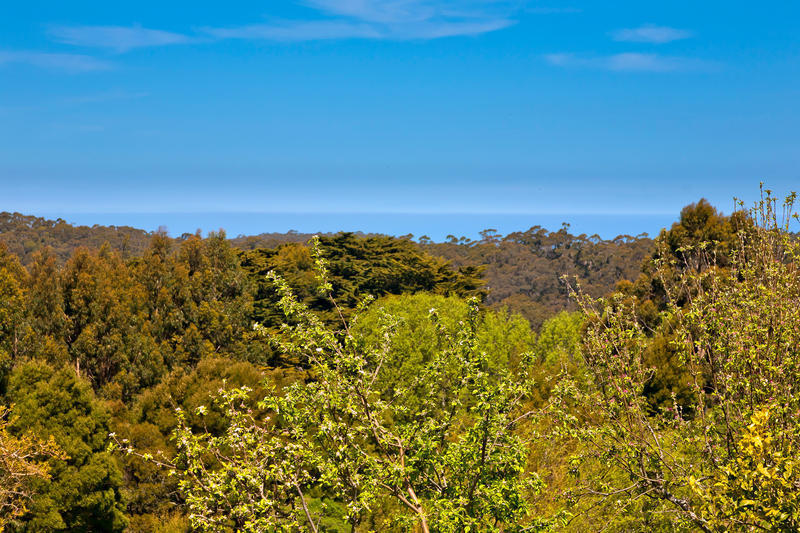 855 Great Ocean Road, Apollo Bay, VIC, Apollo Bay - Thumbnail 2