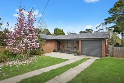 23 Asquith Avenue Wentworth Falls 2782