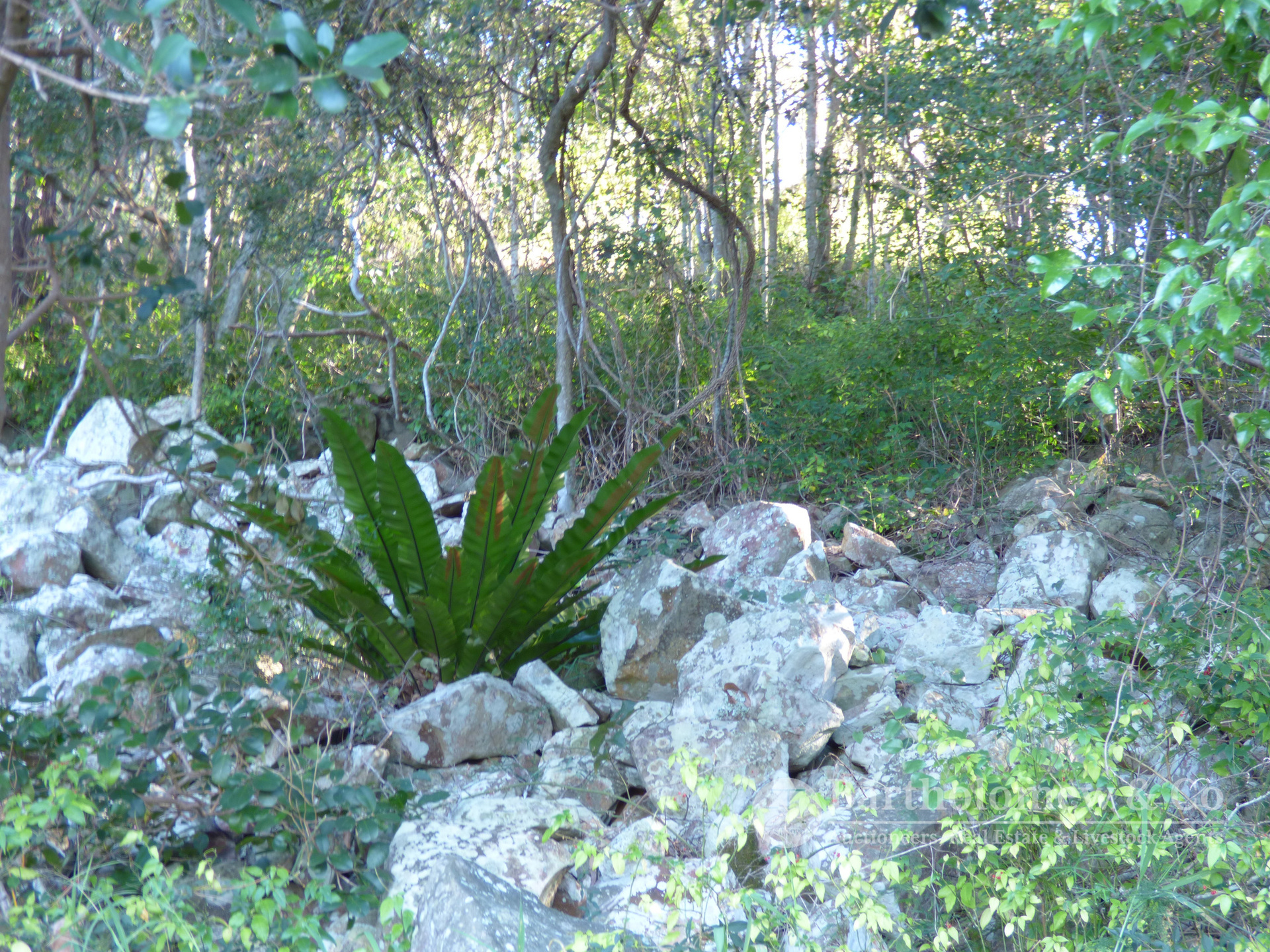 323 Mount Alford Road FRENCHES CREEK QLD