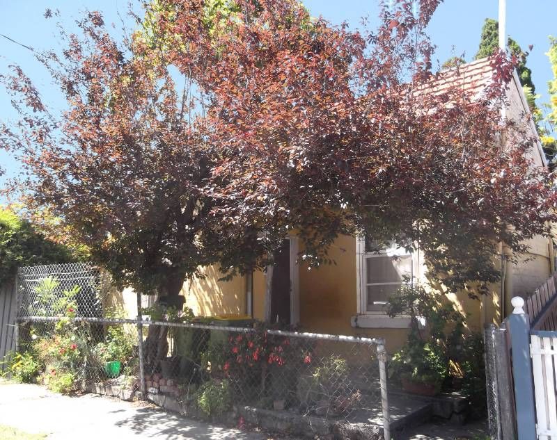 21 Newcastle Street, Yarraville - Thumbnail 3