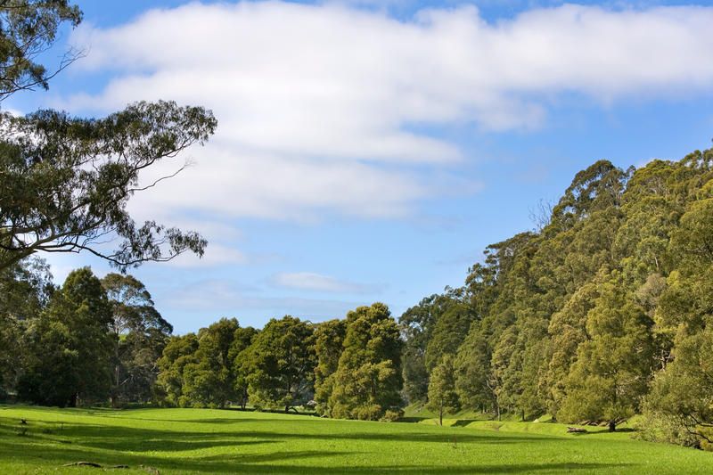 2805 Great Ocean Road, Glenaire - Thumbnail 7