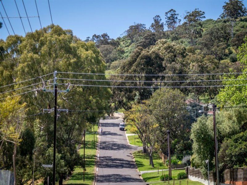 50 Delamere Avenue Netherby SA, Netherby - Thumbnail 3